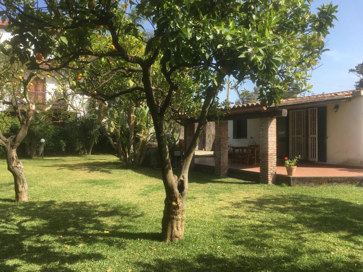Villa Andrea 폰다첼로 외부 사진